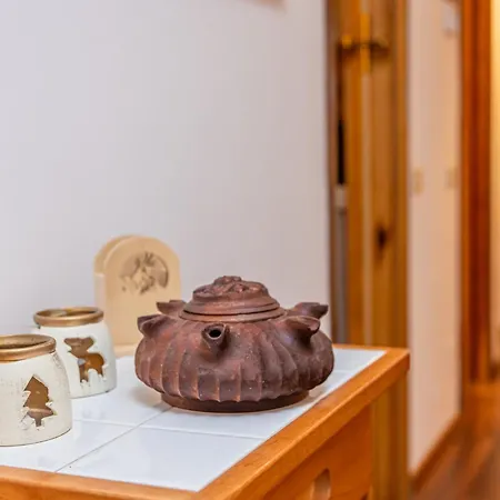 Cervinia Alpine Just Steps From The Slopes Appartement *